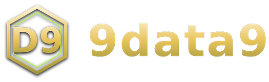 9data9 logo